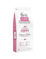 brit care salmon potato - Brit Care Grain-free Puppy Salmon & Potato 1 kg - 1 nuotrauka