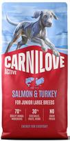 larges - CARNILOVE Active Dog Salmon & Turkey Junior Large Breeds 12 kg - 1 nuotrauka