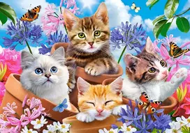 Castorland dėlionė Kittens with Flowers B-53513 500 vnt.