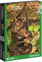 Dėlionė Clementoni Chimpanzee Infant 39301, 1000 dalių