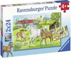 Ravensburger dėlionė Horses 078332V 2x24 vnt.