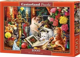 Castorland dėlionė Wizard Kittens C-104857-2, 1000 vnt.