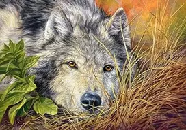 Castorland dėlionė Pure Soul 53285, 500 vnt.
