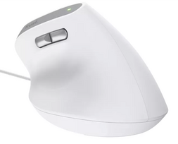 kompiuteris mouse - Trust Bayo II White (Balta) - 1 nuotrauka