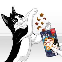 felix kaciu - FELIX Crispes příchutí hovězího a kuřecího masa - 7 nuotrauka