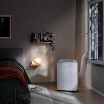 mobilus kondicionierius - Electrolux EXP26U339CW - 3 nuotrauka