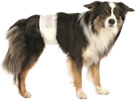 sauskelnes sunims - Sauskelnės Trixie 23643 Diapers For Male Dogs L-XL 12pcs - 2 nuotrauka