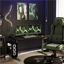 ip 200 - Arozzi Nova 24" IPS FHD 200Hz, Forest Green - 1 nuotrauka