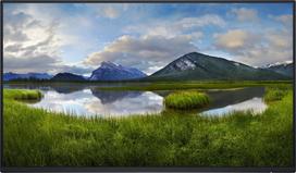 p2425 - Dell P2425H 23.8", IPS, FHD, 100Hz, be stovo - 1 nuotrauka