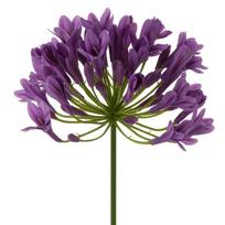 Dirbtinė gėlė 389, violetinė sp., 76 cm