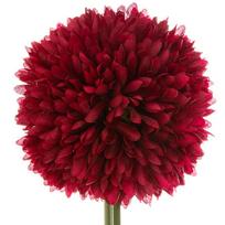 Dirbtinė šakelė Atmosphera Pompom, įvairių spalvų/(spalva/dizainas parenkami atsitiktine tvarka), 60 cm