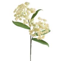 Dirbtinė gėlė Flore 859, kreminė sp., 73 cm x 20 cm