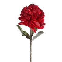 Dirbtinė gėlė Flore 874, balta sp., 75 cm x 25 cm