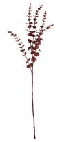 Dirbtinė šakelė, eukaliptas Splendid, bordo sp., 73 cm