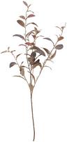 Dirbtinė šakelė, alyvmedis Splendid Olive, ruda sp., 130 cm
