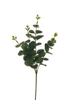 Dirbtinė šakelė, eukaliptas, žalia sp., 62 cm