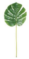 Dirbtinis augalas, monstera Splendid Monstera, žalia sp., 51 cm