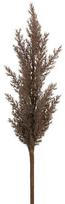 Dirbtinė šakelė Natu 304, ruda sp., 77 cm