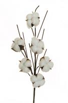 Dirbtinė šakelė Cotton, ruda sp./balta sp., 65 cm