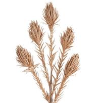 Dirbtinis augalas Flore 721, aukso sp., 82 cm