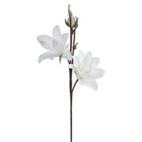 Dirbtinė gėlė Flore 857, balta sp., 77 cm x 20 cm