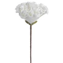 Dirbtinė gėlė Flore 836, balta sp., 65 cm x 20 cm