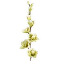 Dirbtinė gėlė, magnolija Flore 713, žalia sp., 104 cm x 12 cm