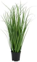 Dirbtinis augalas, žolė House Nordic Poa Grass, žalia sp., 68 cm