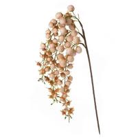 Dirbtinė gėlė Flore 693, šviesiai ruda sp., 78 cm