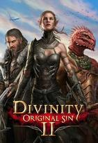 Divinity: Original Sin 2 - Divine Ascension (DLC) Gog.com Key GLOBAL