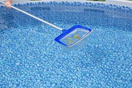 graibsto kotas - Bestway Flowclear AquaRake 58660 baseino valymo tinklelis 50 cm - 2 nuotrauka
