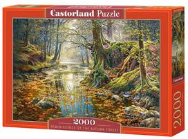 Castorland Reminiscence of the Autumn Forest C-200757-2, 2000 det.