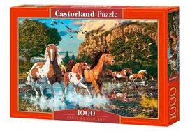Castorland Horse Wonderland, 1000 det.