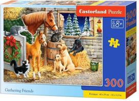 Castorland Gathering Friends 598782, 300 det.