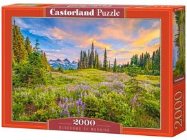 Castorland Blossoms of Morning, 2000 det.
