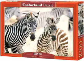 Castorland Young Zebras 105021, 1000 det.
