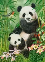 Castorland Panda Brunch 030507, 300 det.