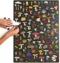 CzuCzu Puzzlove Mushrooms ZA5620, 1000 det.