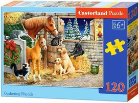 Castorland Gathering Friends 13340, 120 det.