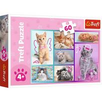 Trefl Sweet Kittens 17373, 60 det.