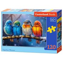 Castorland Together Warmer B-13586-1, 120 det.