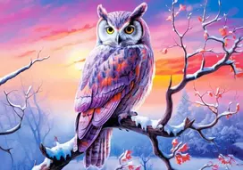 Castorland Owl's Perfect Evening B-54022, 500 det.
