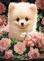 Castorland Pomeranian Puppy In Roses B-066261, 60 det.
