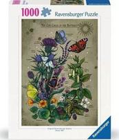 puzzle deliones 1000 - Ravensburger Lifecircle Butterfly, 70 x 50 cm, 1000 det. - 1 nuotrauka