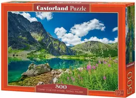 Castorland Czarny Staw pod Rysami B-54145, 500 det.
