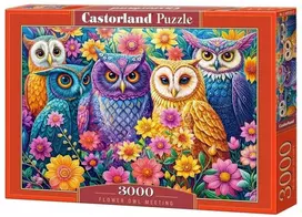 Castorland Flower Owl Meeting C-300723-2, 3000 det.