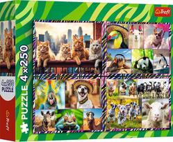 Trefl Funny Animals 13313, 4 x 250 det.