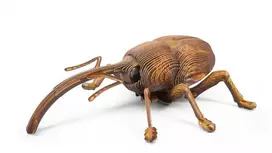 MAKEBUG 3D popierinė dėlionė Straubliukas MB-B-0004