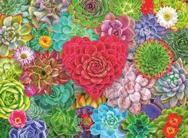 Ravensburger Succulent Love, 500 det.