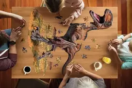 MADD CAPP I Am Raptor, 100 det.